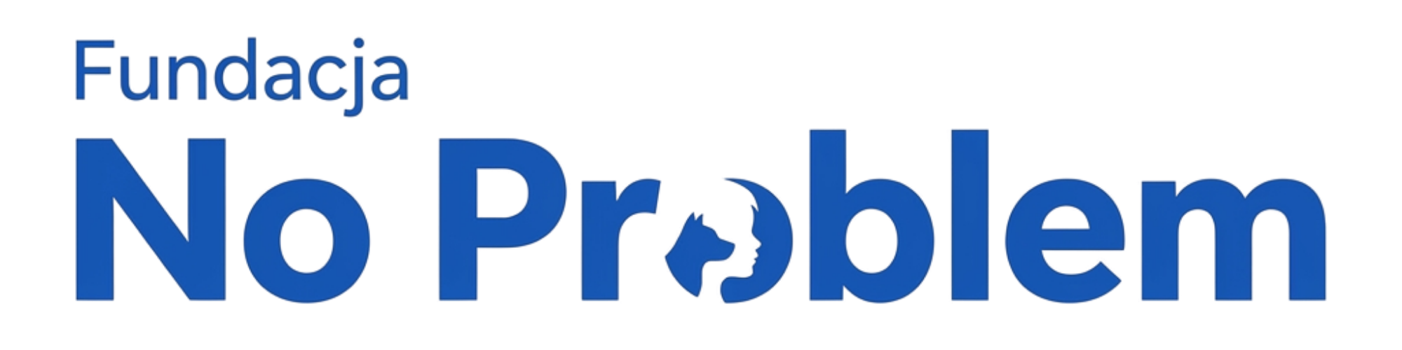 No Problem Foundation